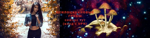ECSTASY Бугульма