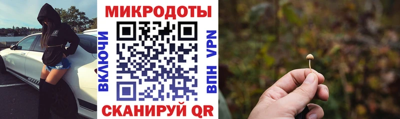 Галлюциногенные грибы мицелий  Майкоп 